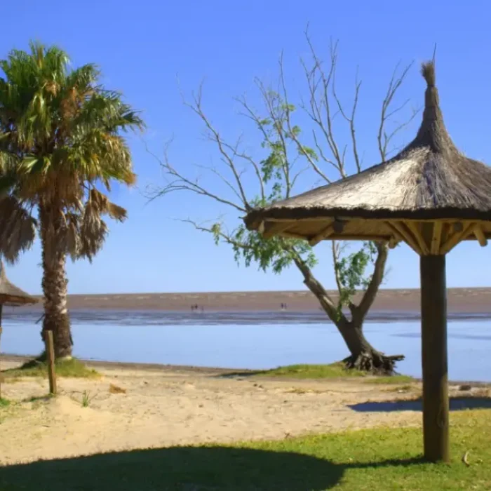 Captura-de-pantalla-2024-07-01-115321