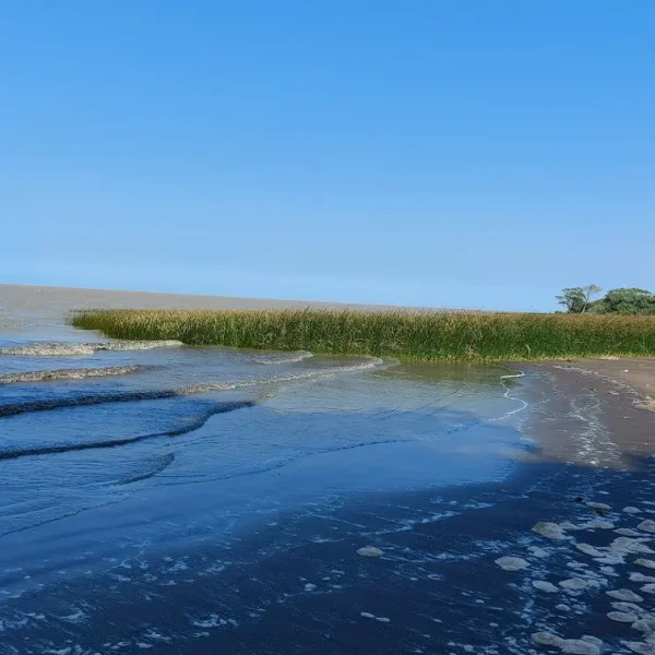 ESCONDIDA