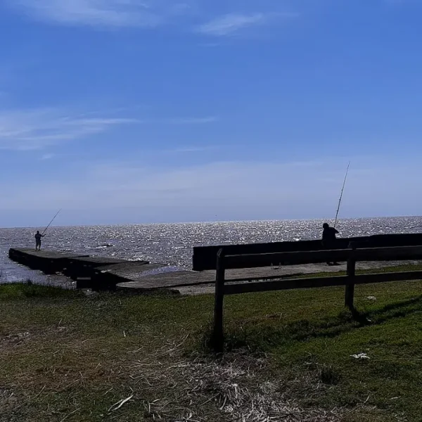 MUELLE3