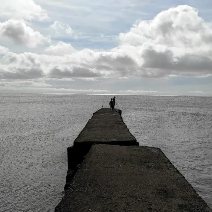 MUELLE5