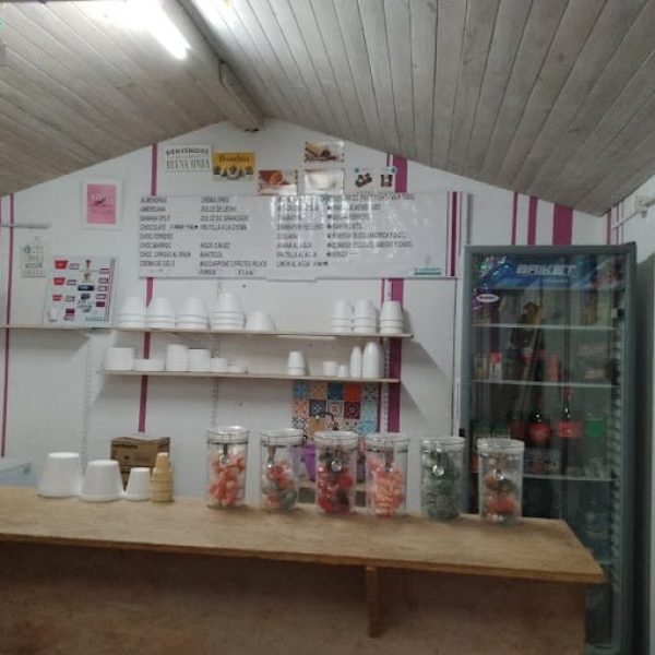 avefenixheladeria3