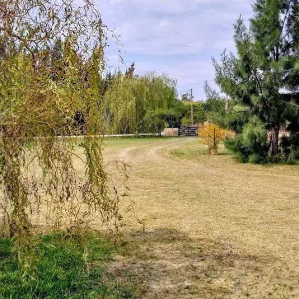lucero3