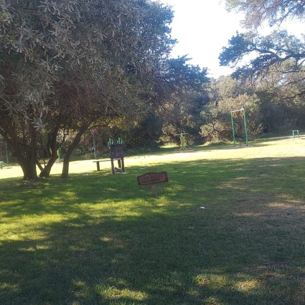 parquemunicipal3