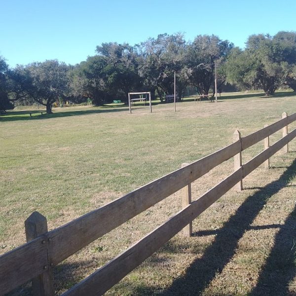 parquemunicipal5