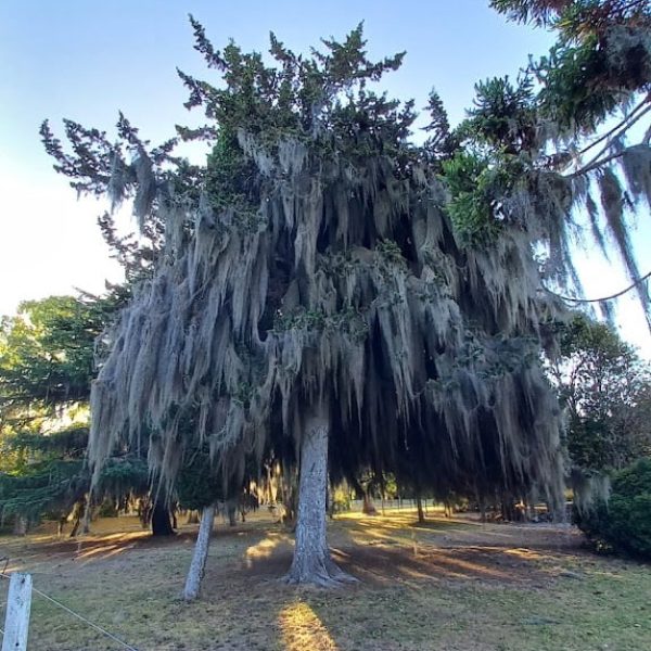 sendero2