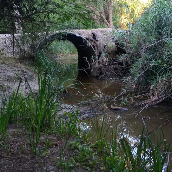sendero3