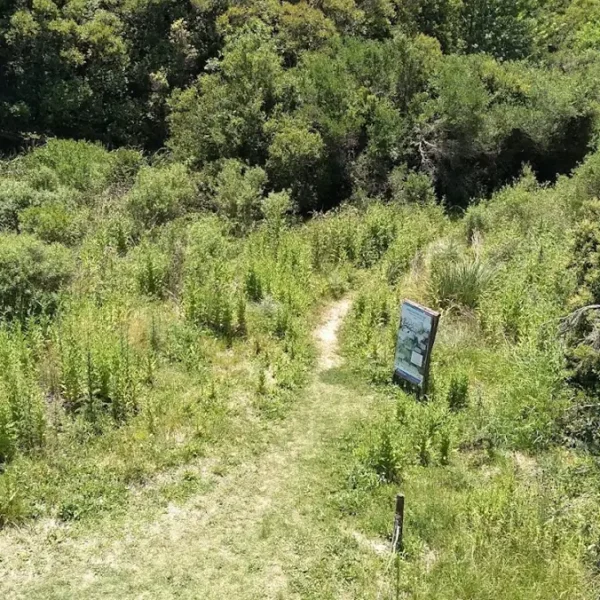 sendero4